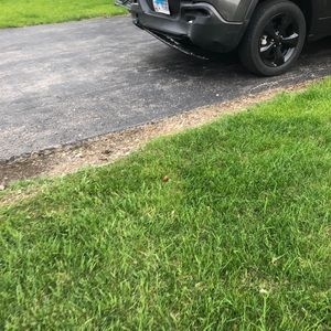 Meet your Posher, Jake